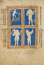 Trococite; Ein kopfloser Mann mit Augen auf den Schultern; Ein kopfloser Mann mit einem Gesicht auf der Brust; Ein Mann...